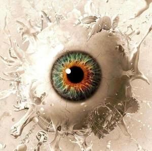 Meet your Posher, Craig